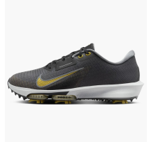Nike Infinity Tour 2 Cool Grey Pure Platinum Infinite Gold (FD0217-003)