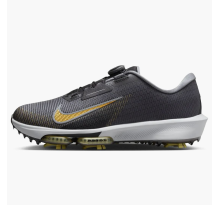Nike Infinity Tour BOA 2 Cool Grey Pure Platinum Infinite Gold (FN6730-003)