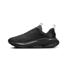 Nike InfinityRN 4 GORE TEX (HQ0264 001) in schwarz