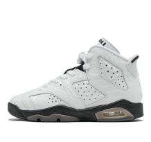 Jordan 6 Retro Alligator BG (384665-110)