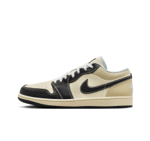 NIKE JORDAN 1 Low SE (HQ3437 101)