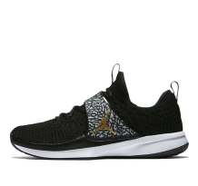 Jordan Trainer 2 Flyknit (921210-021)