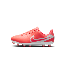 Nike Tiempo Legend Academy (DV4348-800)