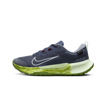 Nike Juniper Trail 2 GORE TEX (FB2065-403) in blau