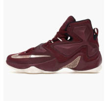 Nike Lebron 13 Bronze (807219-690)