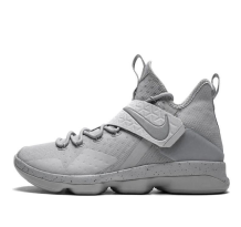 Nike LeBron 14 Silver (852405-007)