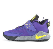 Nike LeBron Ambassador 12 Lakers (BQ5436-500)