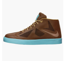 Nike Lebron X Nsw Hazelnut (582553-200)