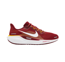 Nike Air Zoom Pegasus 41 (FZ5069-600)