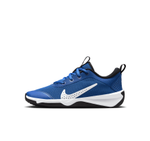 Nike Omni Multi Court (DM9027-403) in blau