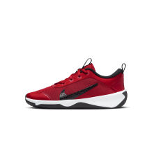 Nike Omni Multi Court (DM9027-601)