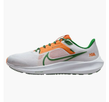 Nike Pegasus 40 Famu (DZ5941 100)