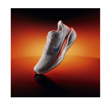 Nike Air Zoom Pegasus 41 FP (HF0013-900) in bunt