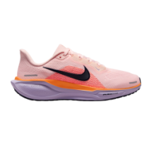 Nike Pegasus 41 (FD2723-603)
