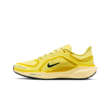 Nike Pegasus 41 GORE TEX (FQ1356-700)