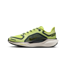 Nike Pegasus 41 GORE TEX (FQ1357-300)