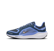 Nike Pegasus 41 GORE TEX (FQ1357-400) in blau