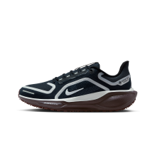 Nike Pegasus 41 GORE TEX (FQ1357-401)