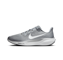 Nike Pegasus 41 (FD2722-009)