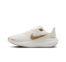 Nike Pegasus 41 (FD2723-005)