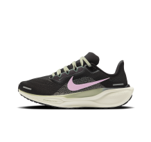 Nike Pegasus 41 (FD2723-009)