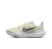 Nike Pegasus 41 (FD2723-114)
