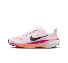 Nike Pegasus 41 (FD2723-120)
