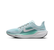 Nike Pegasus 41 (FD2723-401) in blau