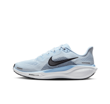 Nike Pegasus 41 (FD2723-404)