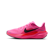 Nike Pegasus 41 (FD2723-605)