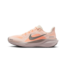 Nike Air Zoom Pegasus 41 (FD2723-802)