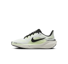 Nike Pegasus 41 Stra (FN5041-102)