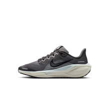 Nike Air Zoom Pegasus 41 (FN5041-201)