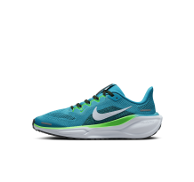 Nike Pegasus 41 (FN5041-300)