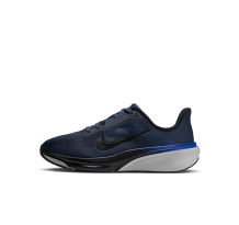 Nike Pegasus 42 (IH2306-402)