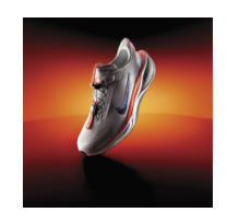 Nike Pegasus EasyOn Blueprint Air Zoom (HM0374-900) in weiss