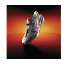 Nike Pegasus EasyOn (HM0374-900) in weiss