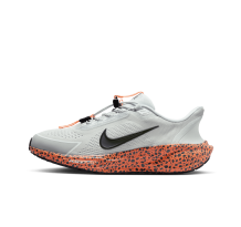 Nike Pegasus EasyOn (HF5457-900) in bunt