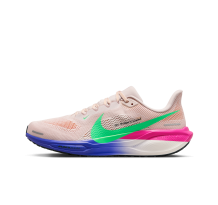 Nike Pegasus 41 Eliud Kipchoge (HJ7037-600)