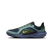 Nike Pegasus 41 GORE TEX (FQ1356-006)