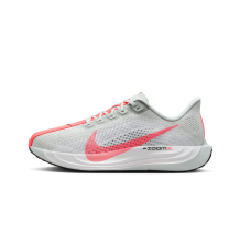 Nike Pegasus Plus (FQ7261-001) in grau