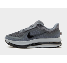 Nike Pegasus Premium (HQ2592-014)