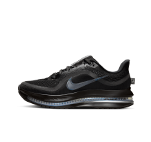 Nike Pegasus Premium (HQ2593-004)