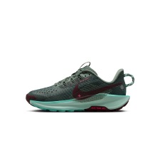 Nike Pegasus Trail 5 (FV5638-301)