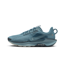 Nike Pegasus Trail 5 (DV3864-005) in blau