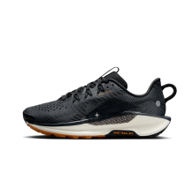 Nike Pegasus Trail 5 (DV3865-006)