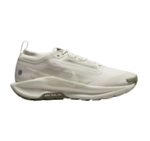 Nike Pegasus Trail 5 Gore Tex (FQ0912-006)