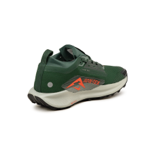 Nike Pegasus Trail 5 Gore Tex (FQ0908-301)