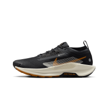 Nike Pegasus Trail 5 GORE TEX wasserdichter (FQ0908-007)