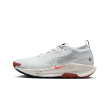 Nike Pegasus Trail 5 Gore Tex (FQ0908-009)